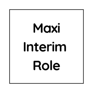 naga operations - Startups & Scaleups - Maxi Interim Role